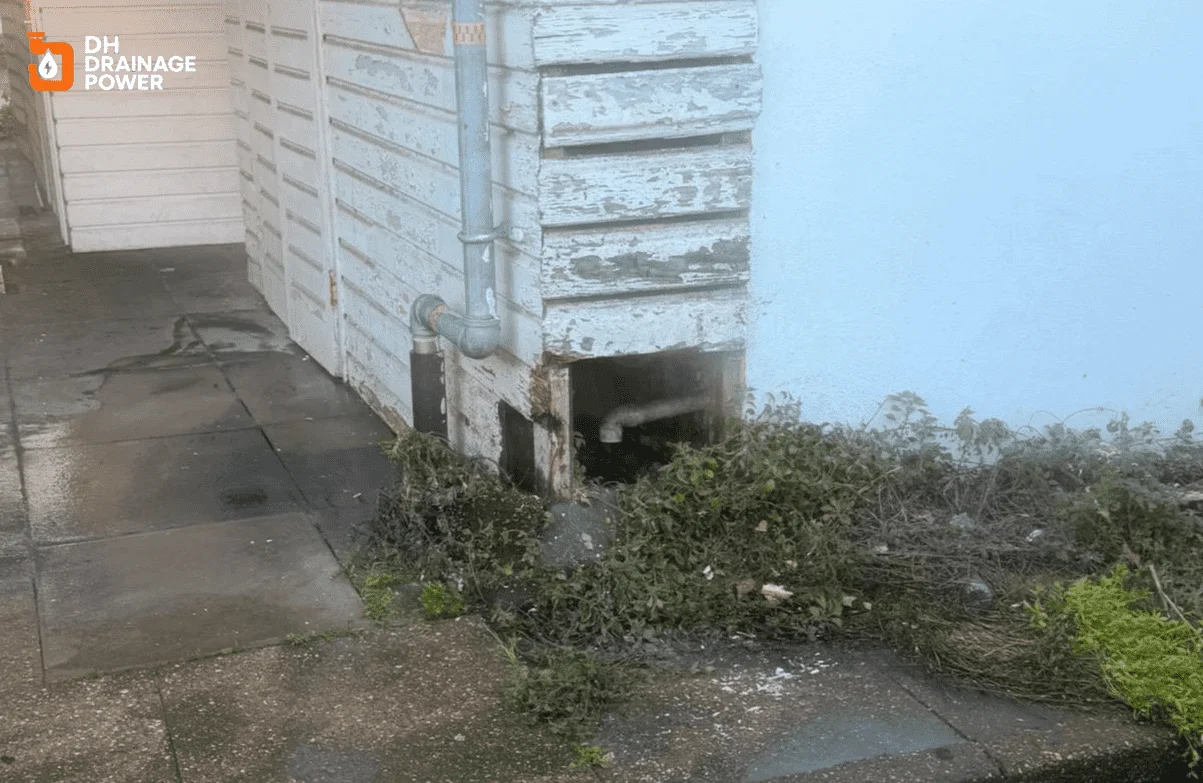 External Drains Unblocking Experts London inspecting and repairing clogged outdoor drains