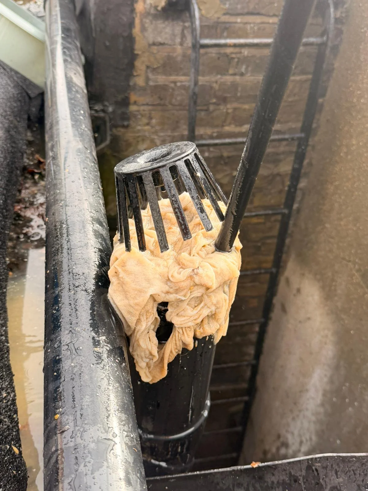 Why Choose Our Drain Inspection Service